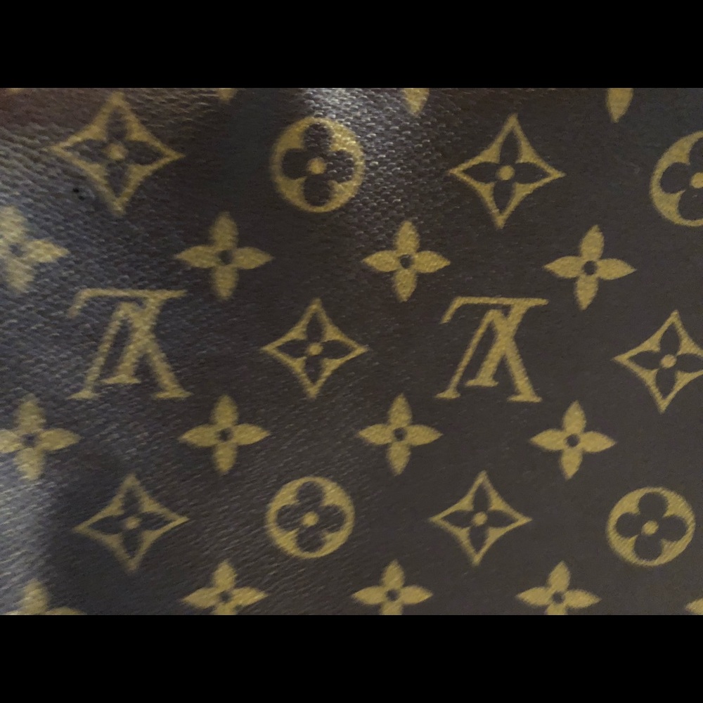 Louis Vuitton Sully bag